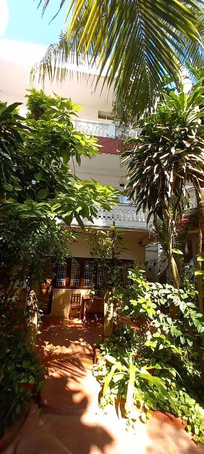 Daphne Hotel Махабалипурам Экстерьер фото