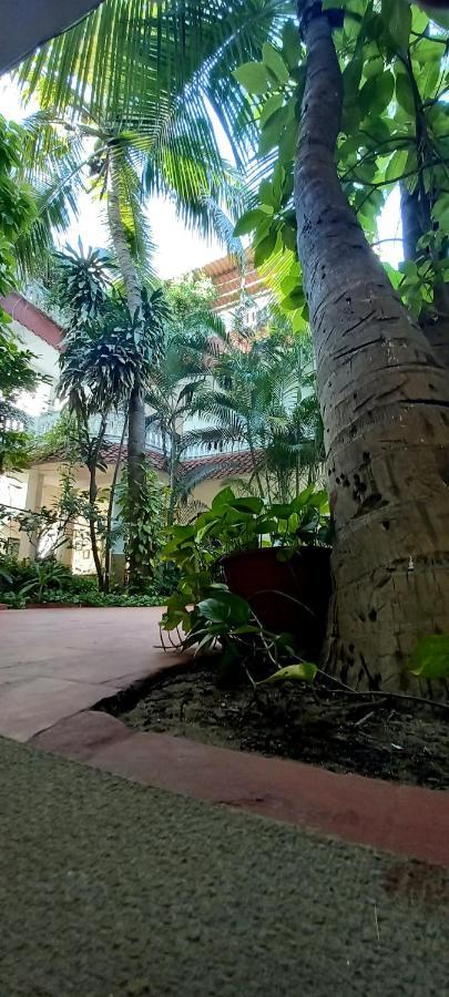 Daphne Hotel Махабалипурам Экстерьер фото